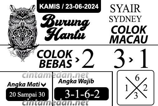 SYAIR SDY VIP